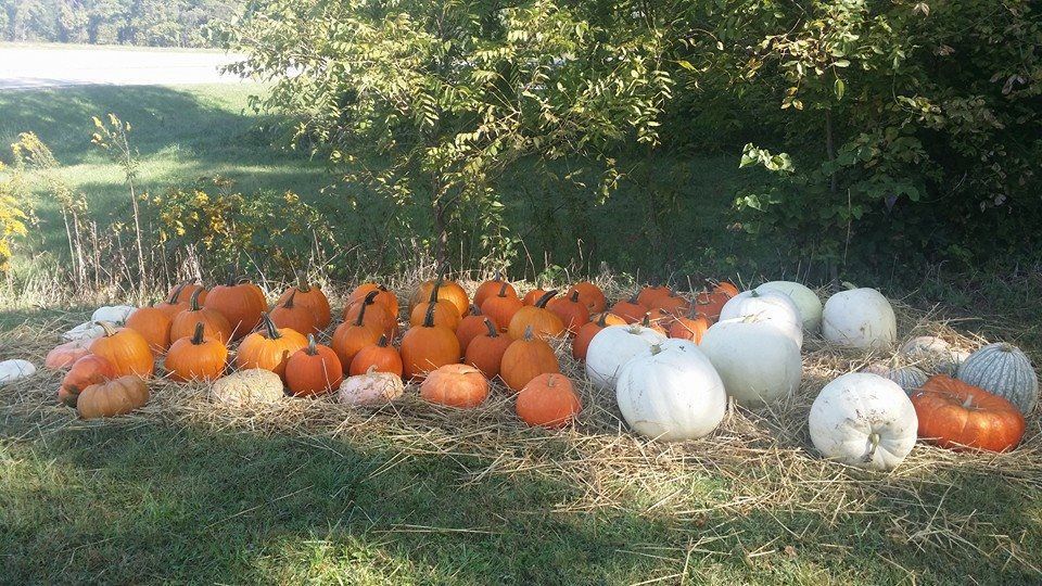 Grissom's Lost Creek Orchard